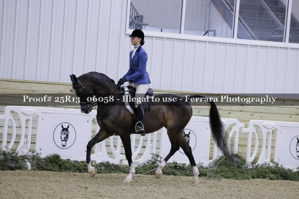 Proof Number 25R13_06058