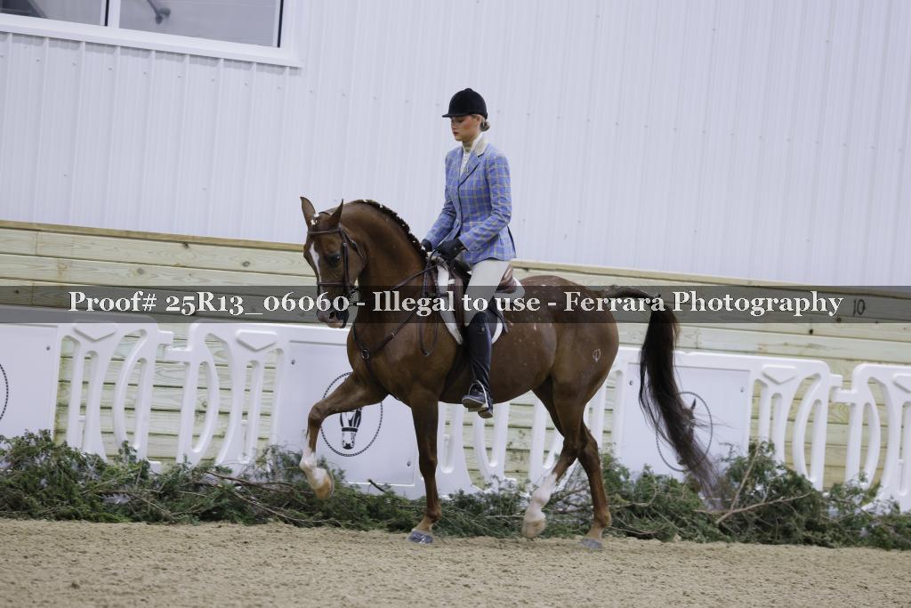 Proof Number 25R13_06060