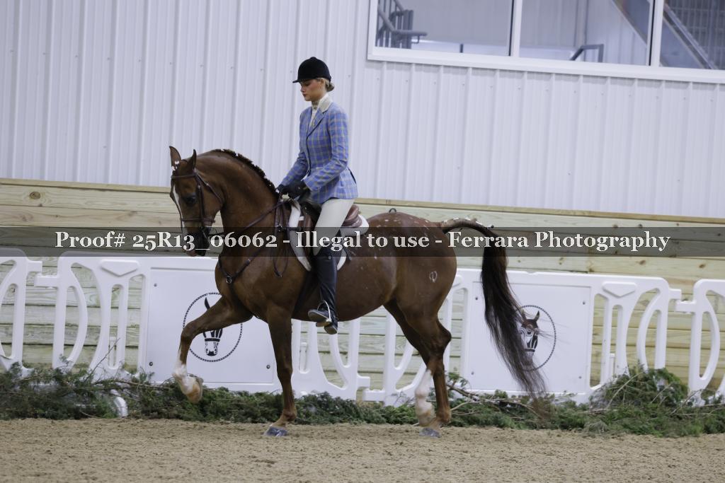 Proof Number 25R13_06062