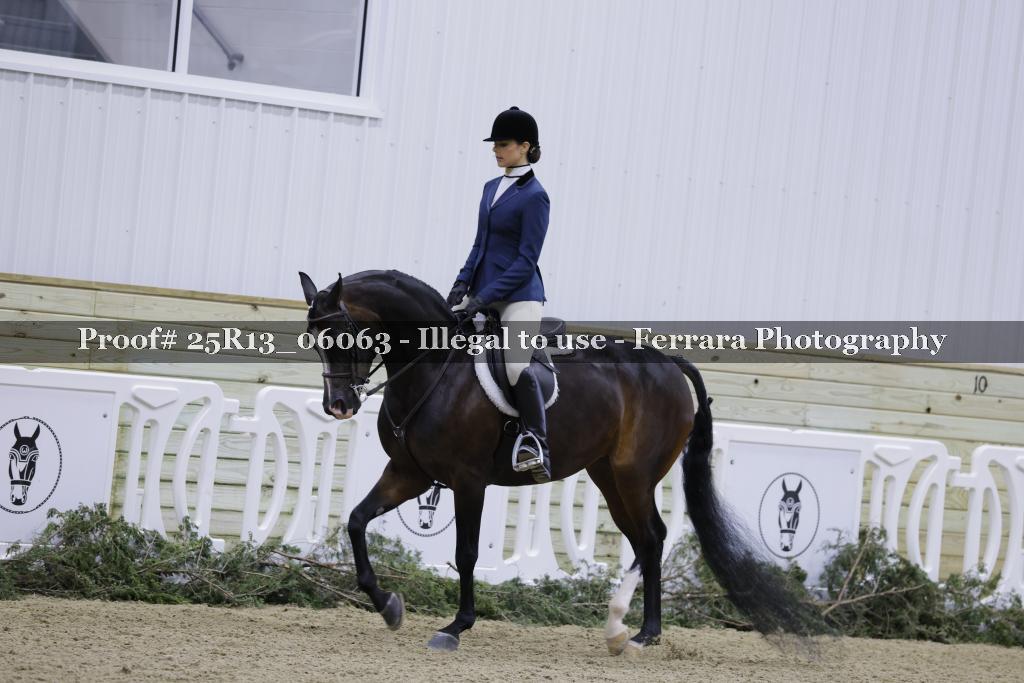 Proof Number 25R13_06063