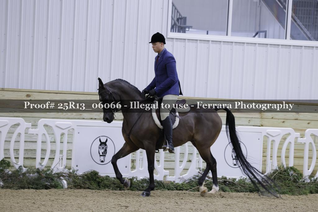 Proof Number 25R13_06066