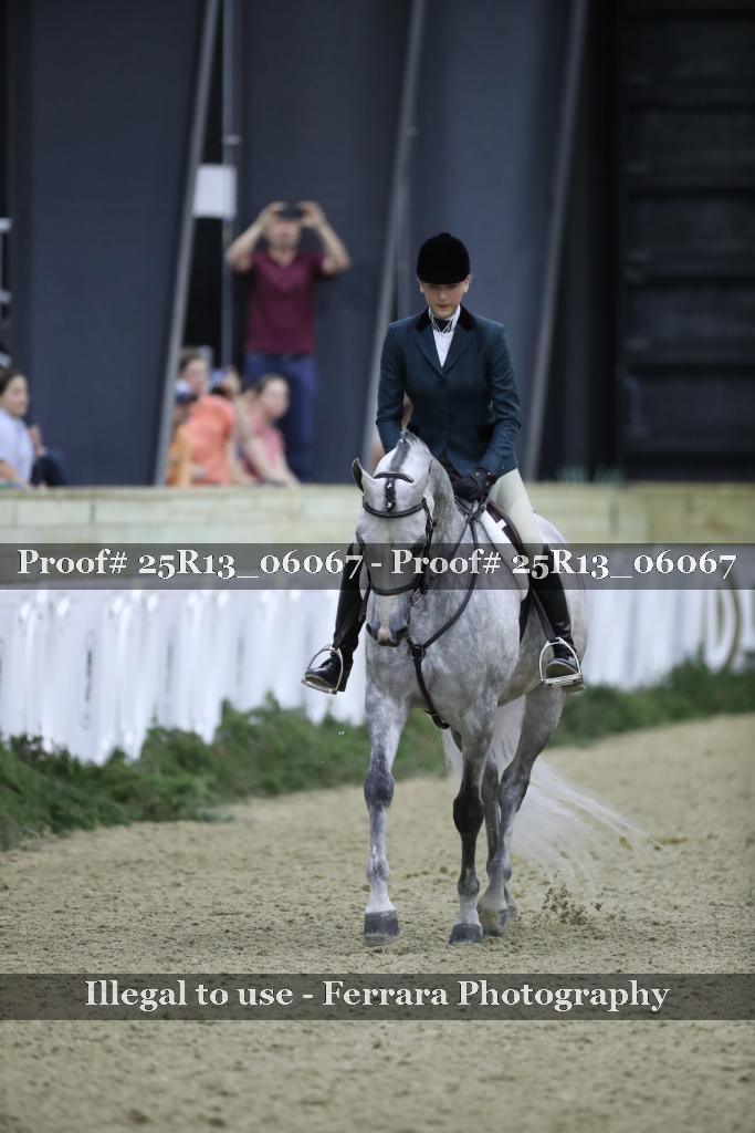 Proof Number 25R13_06067