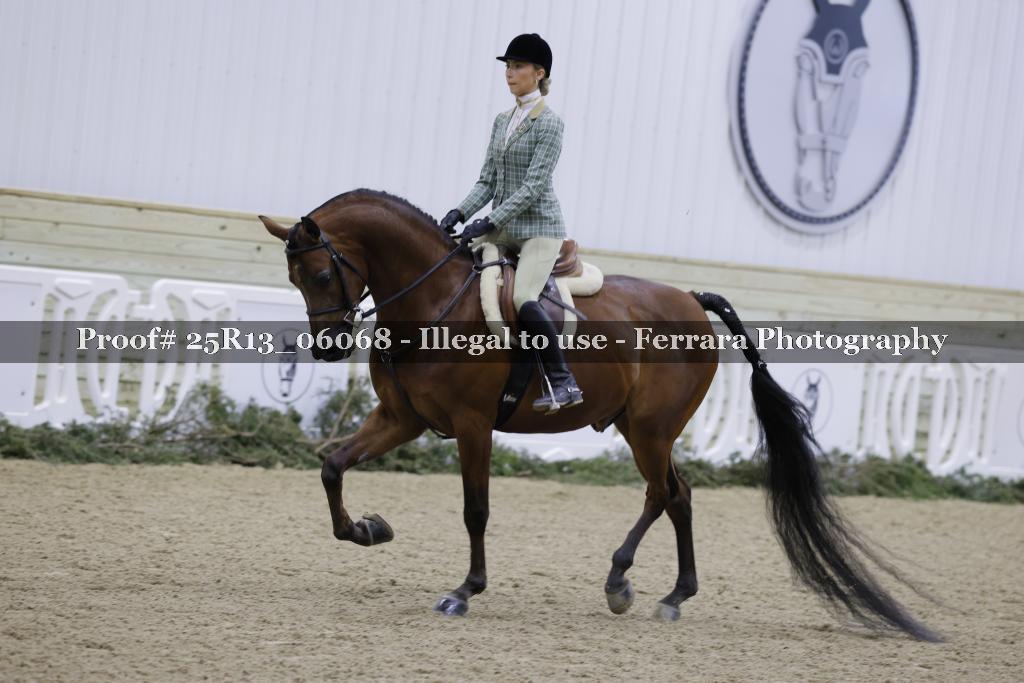 Proof Number 25R13_06068
