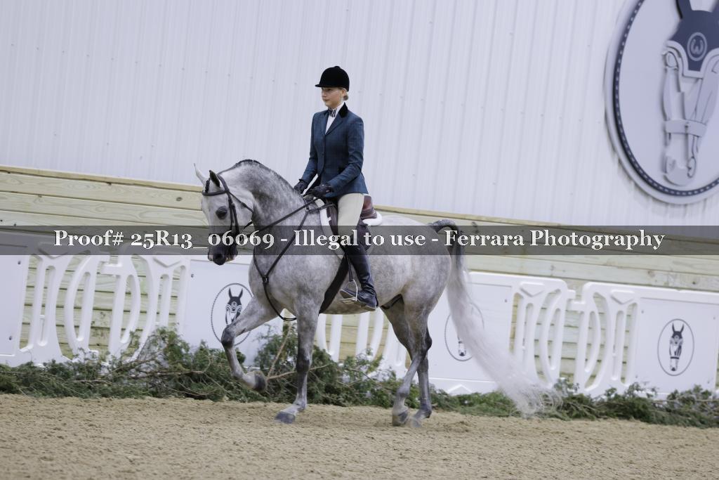 Proof Number 25R13_06069