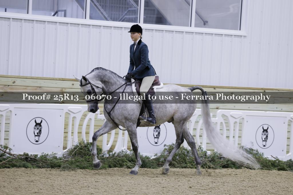 Proof Number 25R13_06070