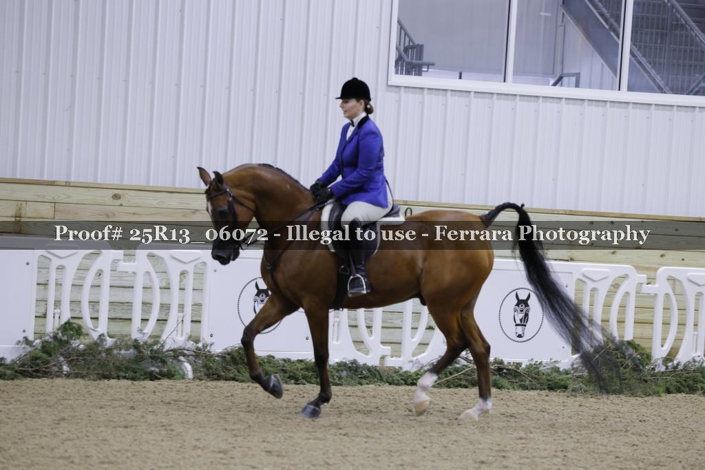 Proof Number 25R13_06072