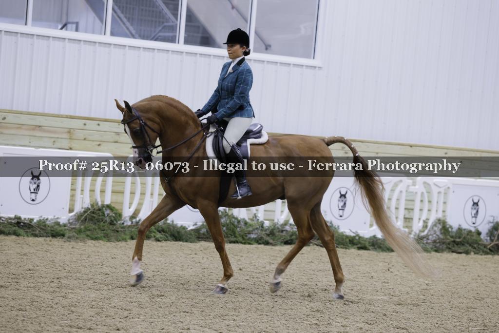 Proof Number 25R13_06073