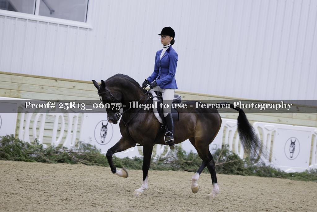 Proof Number 25R13_06075