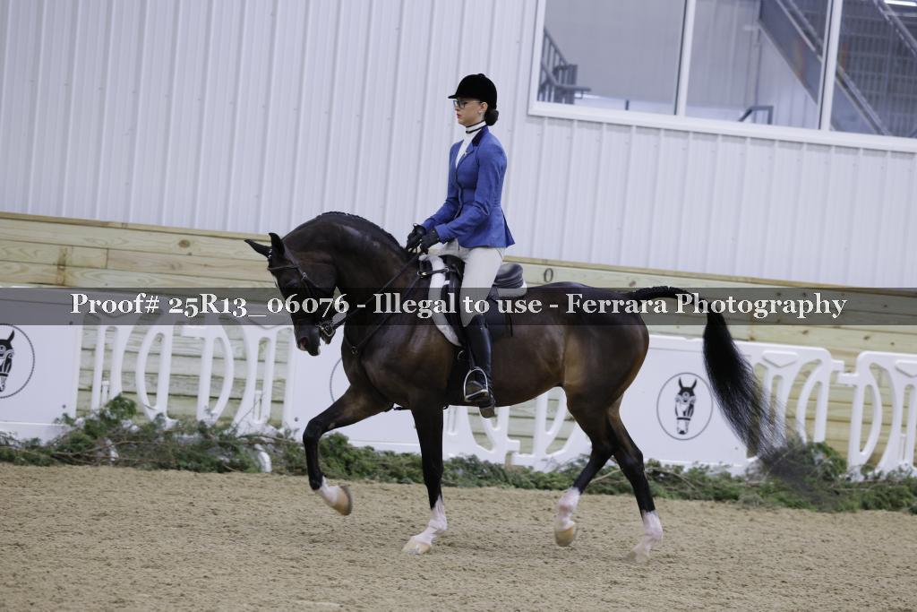 Proof Number 25R13_06076