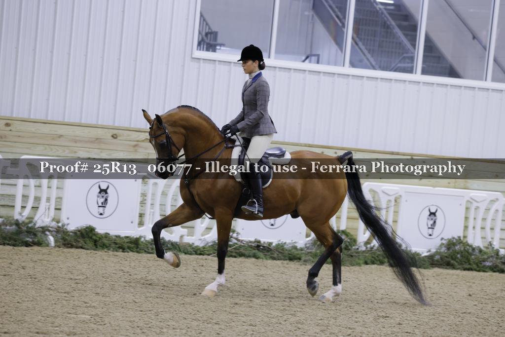 Proof Number 25R13_06077