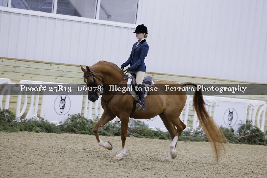 Proof Number 25R13_06078