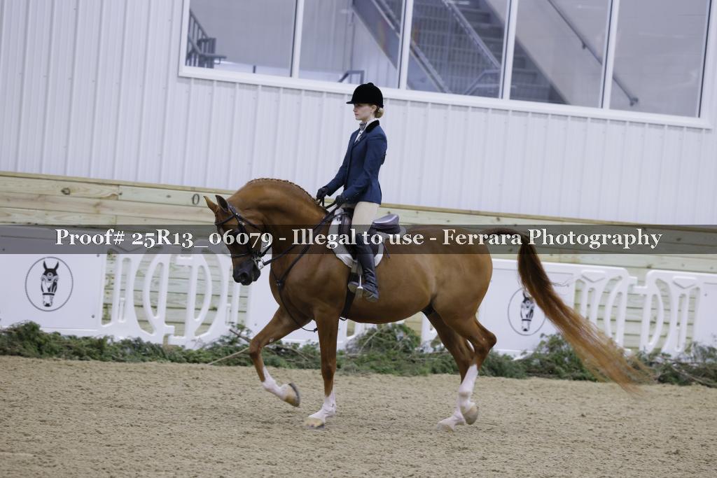 Proof Number 25R13_06079