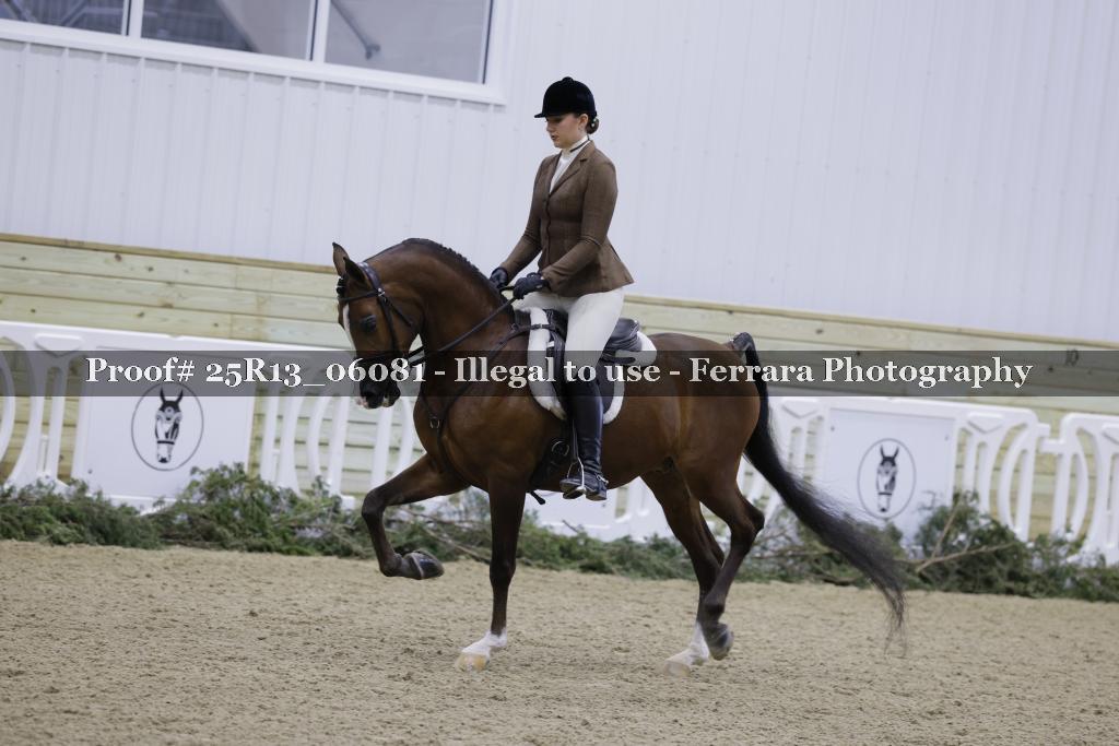 Proof Number 25R13_06081