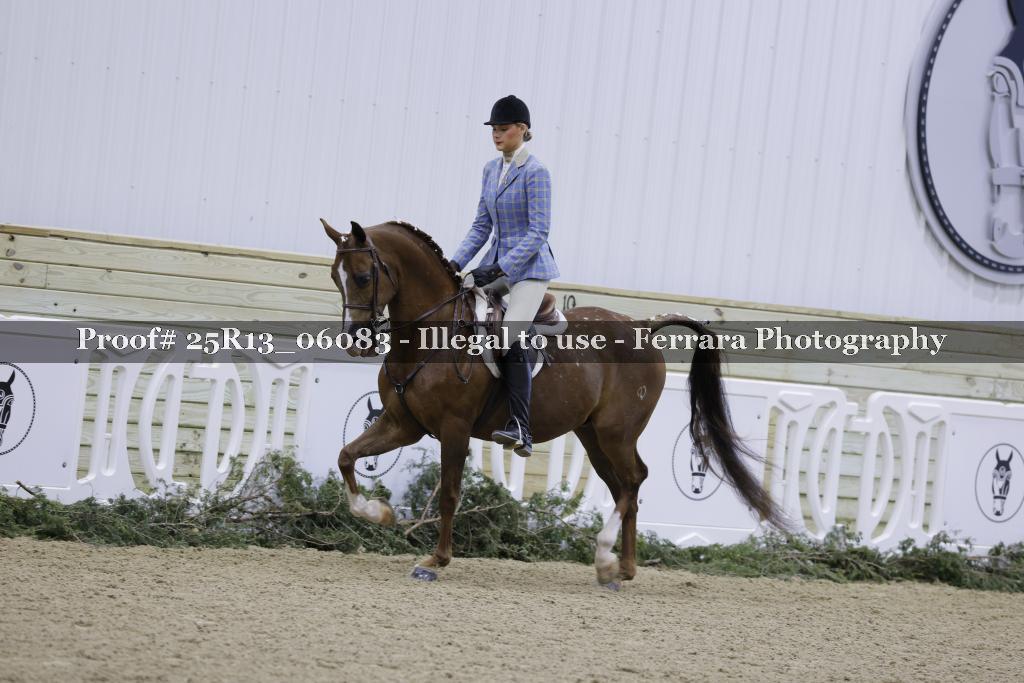 Proof Number 25R13_06083