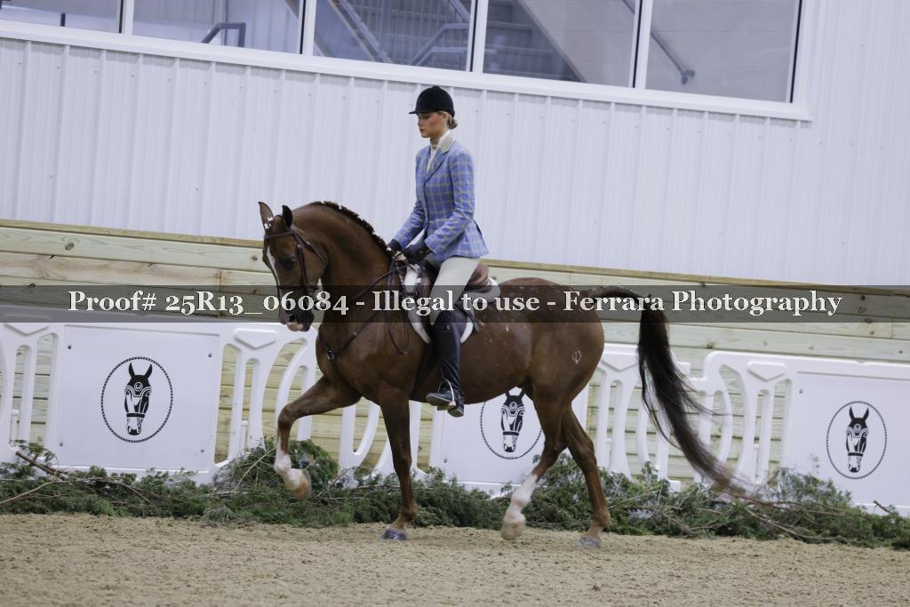 Proof Number 25R13_06084