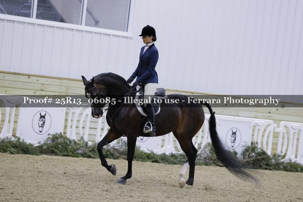 Proof Number 25R13_06085