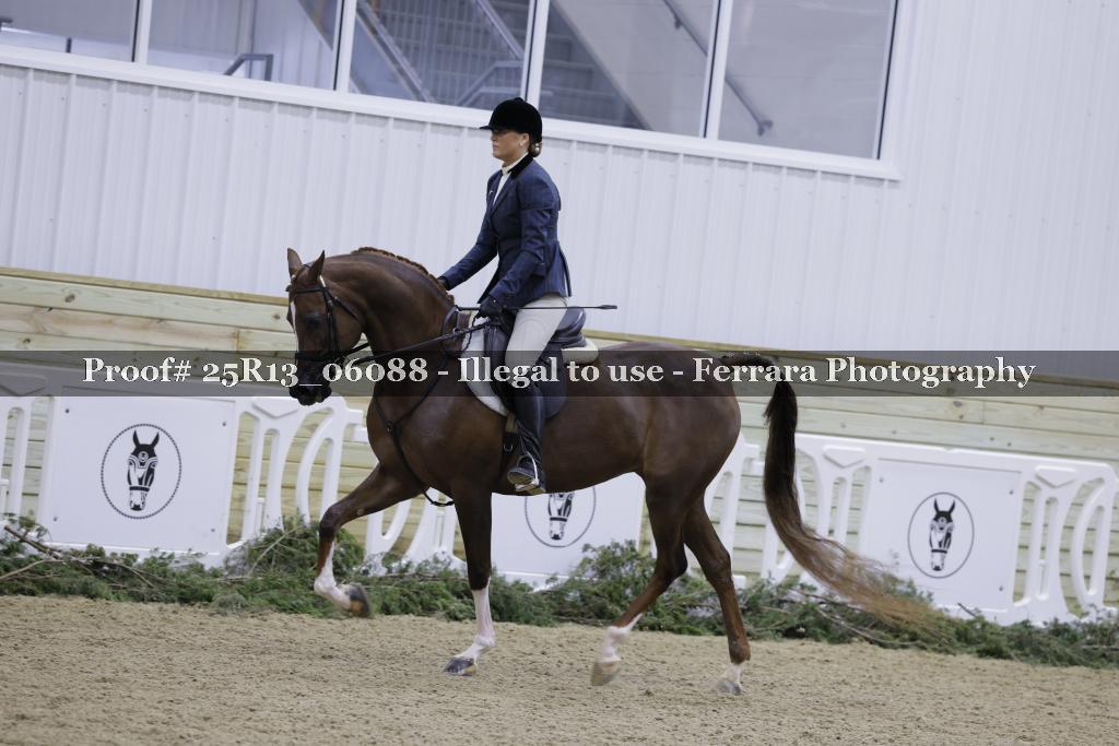 Proof Number 25R13_06088