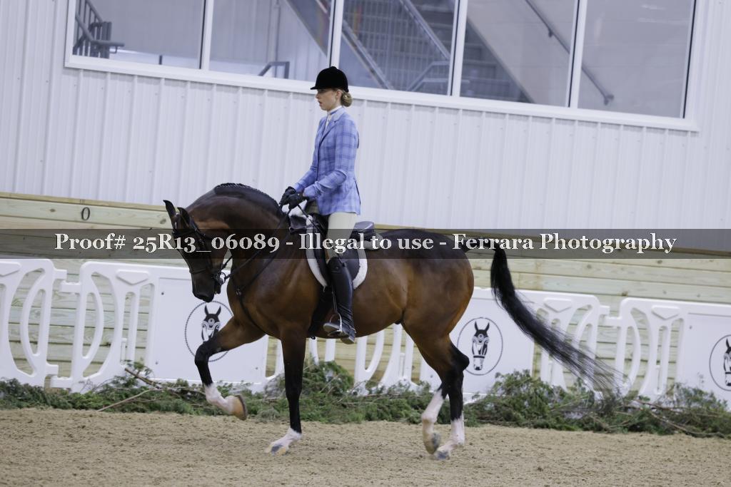 Proof Number 25R13_06089