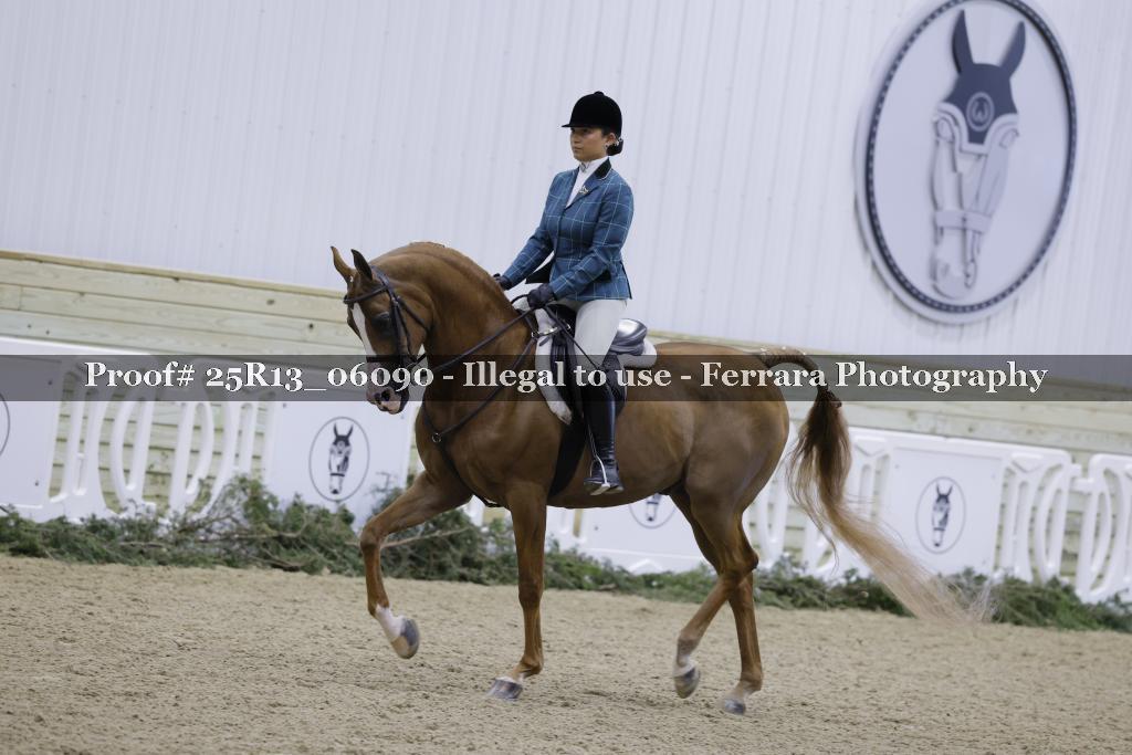 Proof Number 25R13_06090
