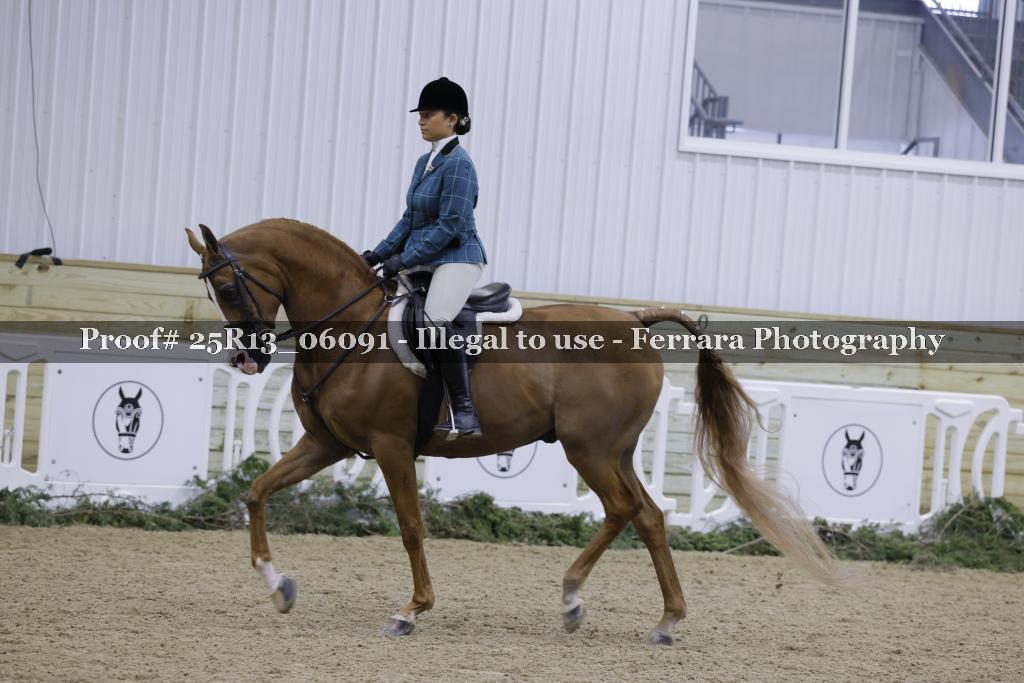 Proof Number 25R13_06091