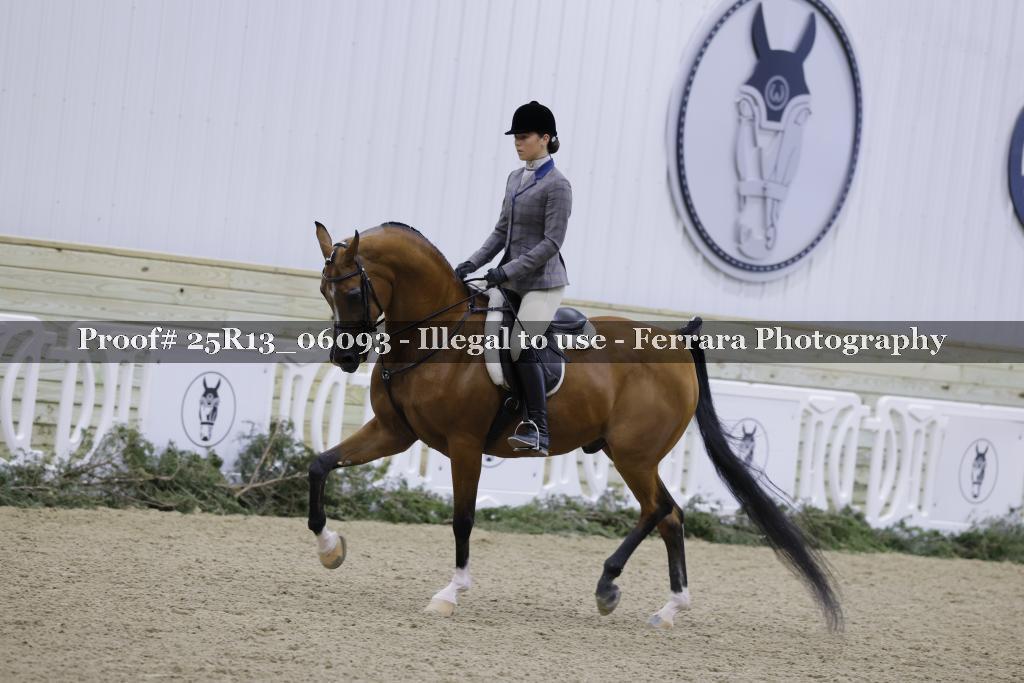 Proof Number 25R13_06093