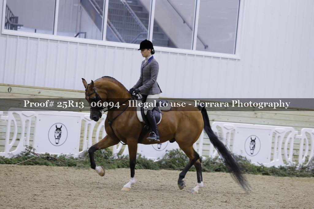 Proof Number 25R13_06094