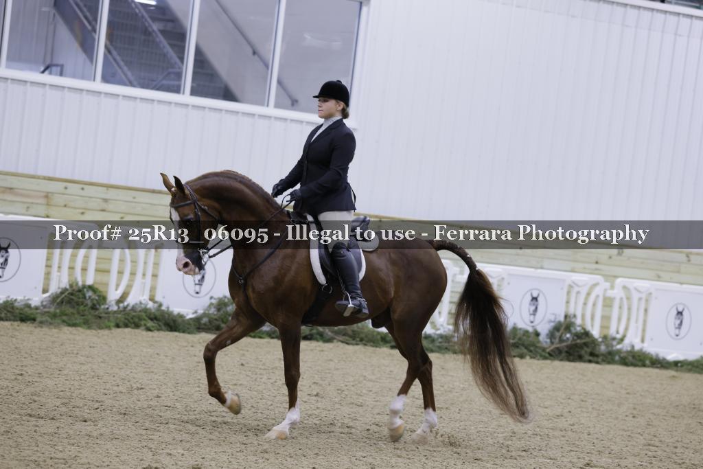 Proof Number 25R13_06095