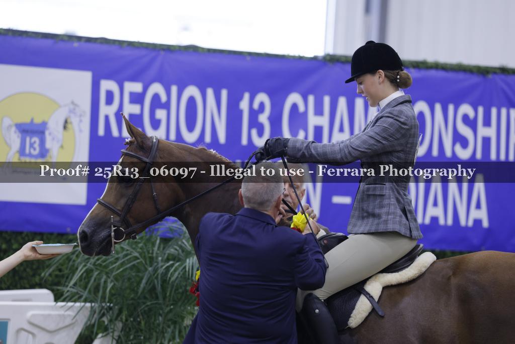 Proof Number 25R13_06097