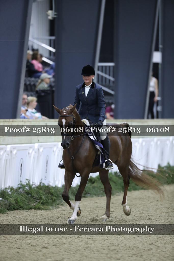 Proof Number 25R13_06108