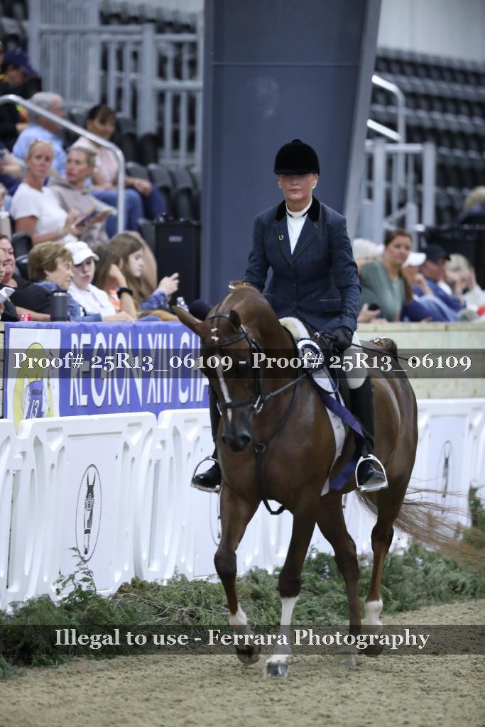 Proof Number 25R13_06109