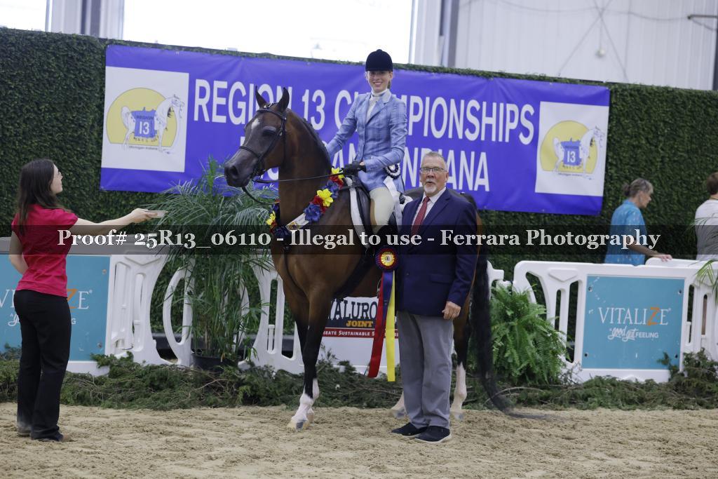 Proof Number 25R13_06110