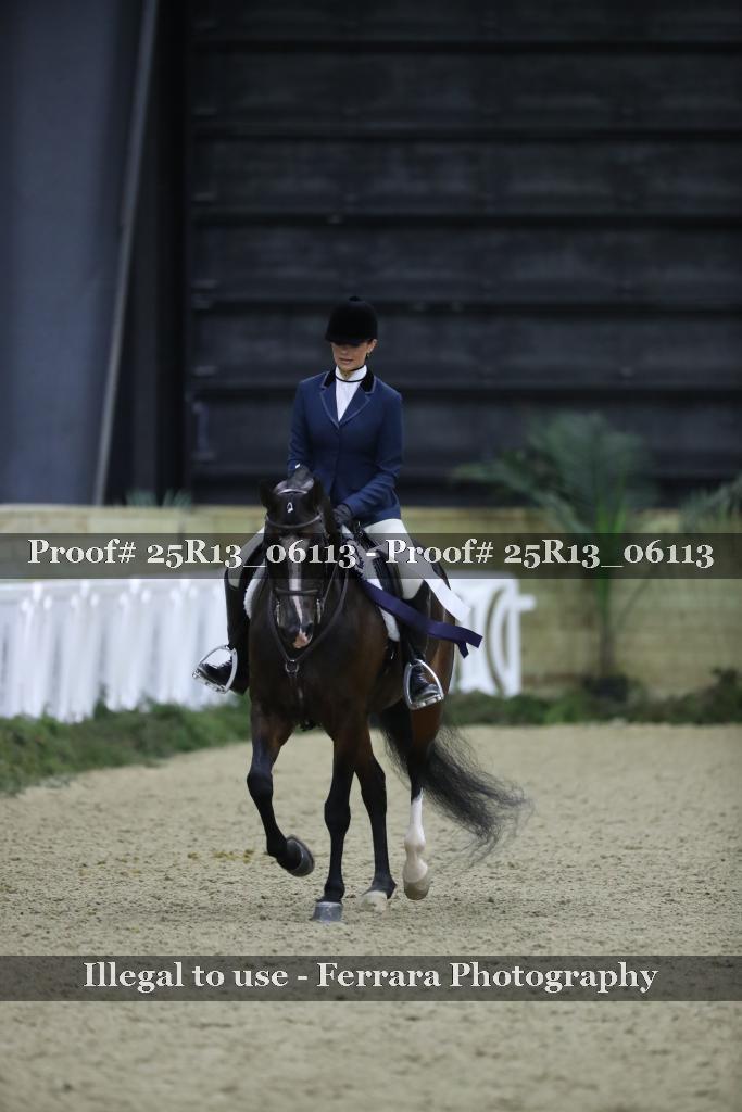 Proof Number 25R13_06113