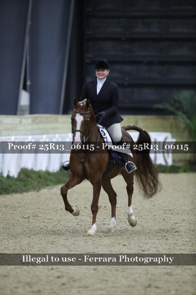 Proof Number 25R13_06115