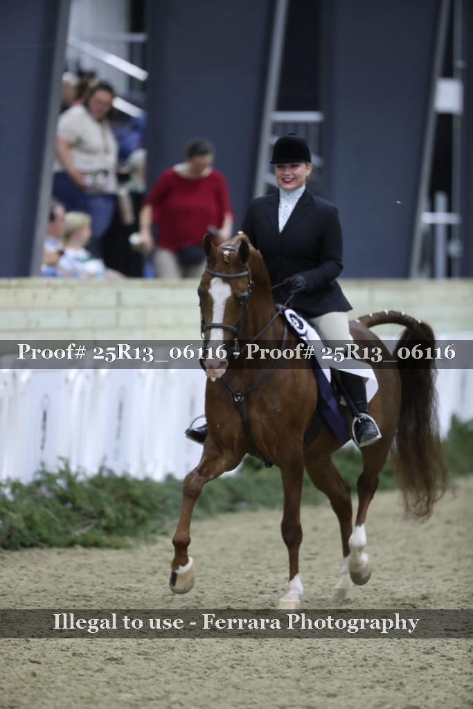 Proof Number 25R13_06116