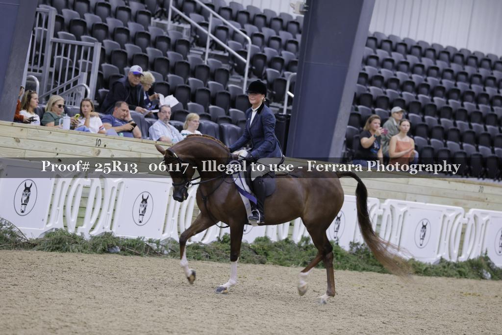 Proof Number 25R13_06117