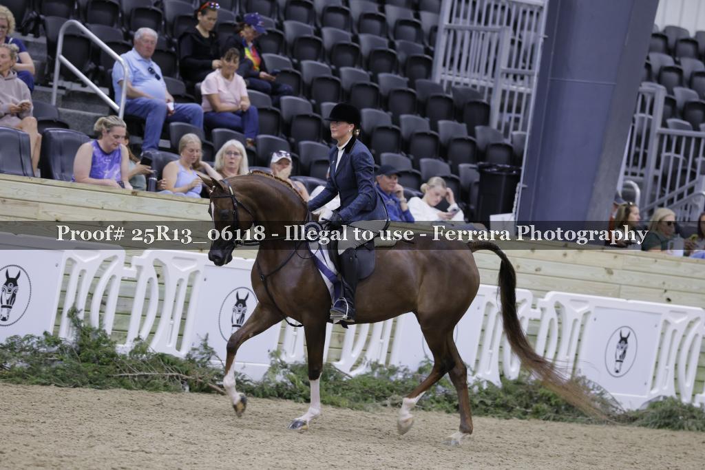 Proof Number 25R13_06118