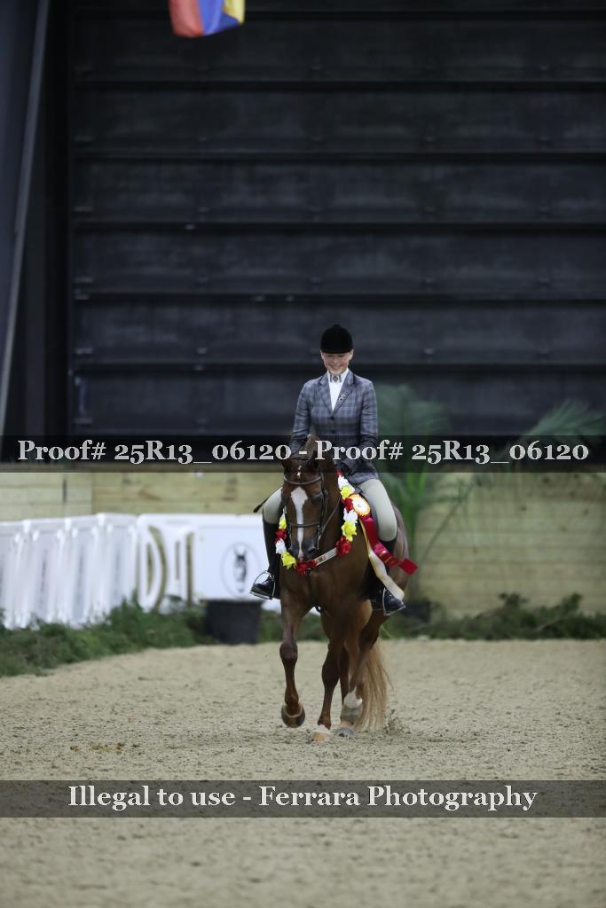 Proof Number 25R13_06120