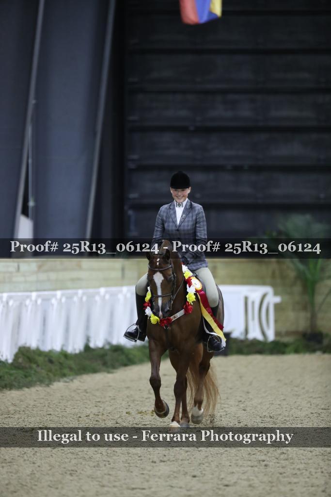 Proof Number 25R13_06124