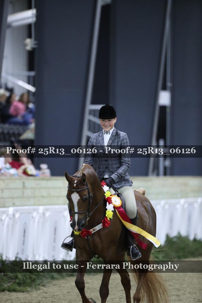 Proof Number 25R13_06126