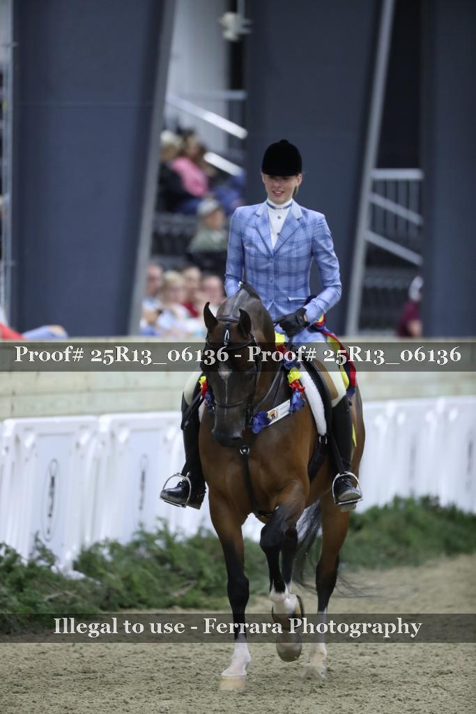 Proof Number 25R13_06136