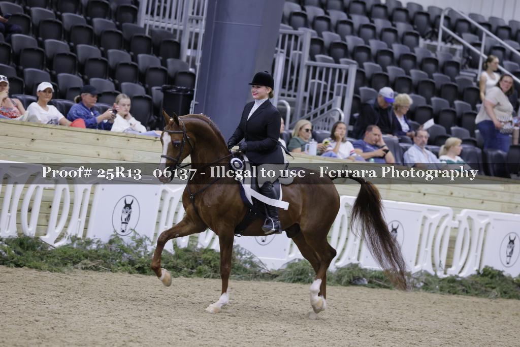 Proof Number 25R13_06137