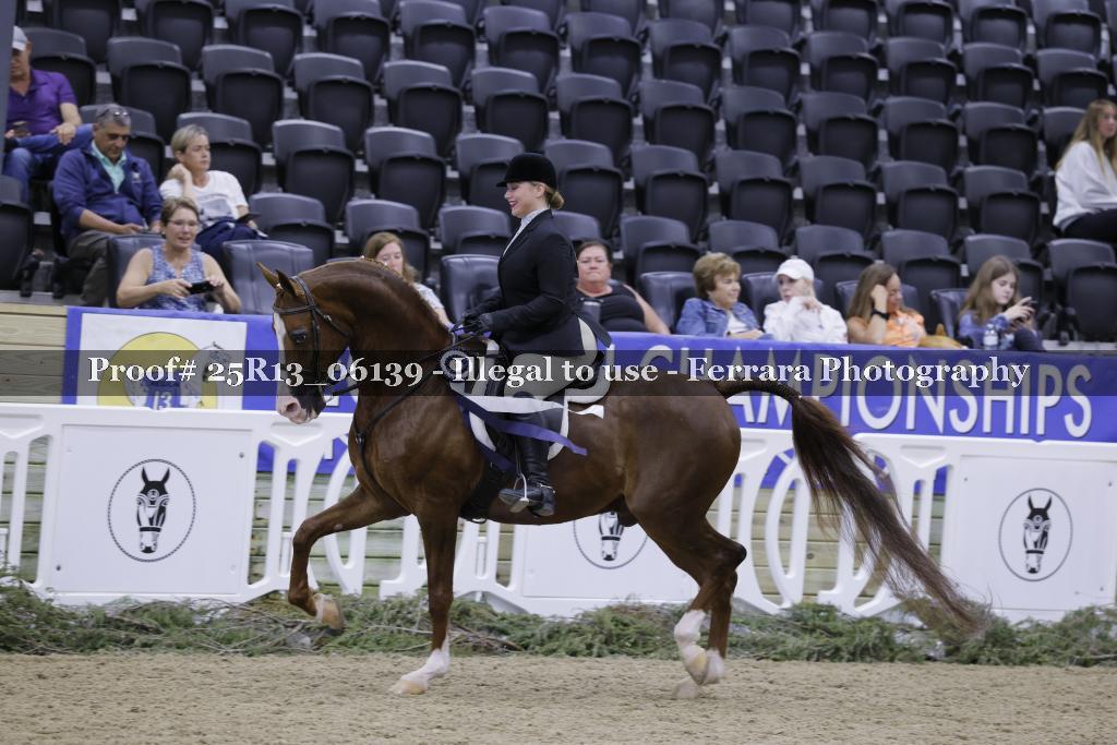 Proof Number 25R13_06139