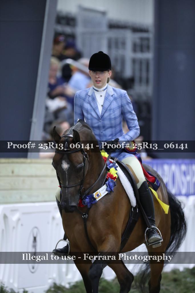 Proof Number 25R13_06141