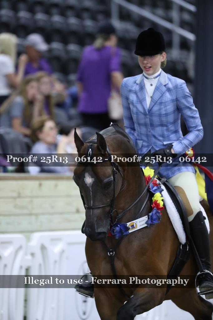 Proof Number 25R13_06142