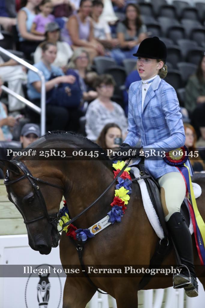 Proof Number 25R13_06145