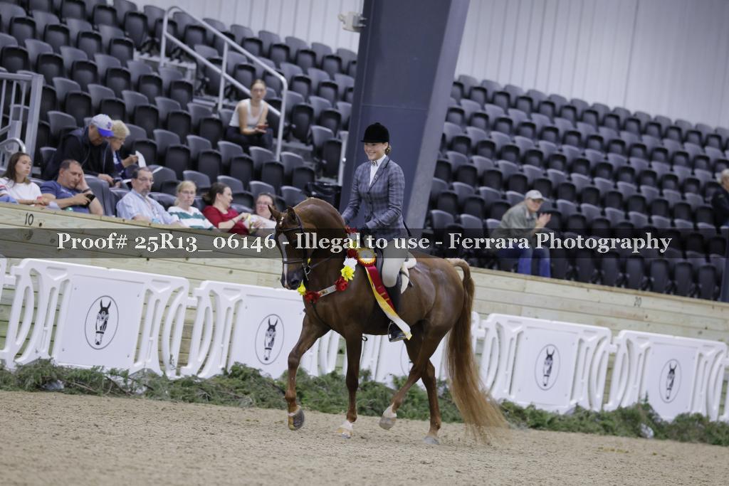 Proof Number 25R13_06146