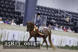 25R13_06147 thumbnail