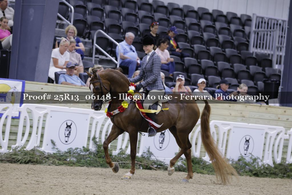 Proof Number 25R13_06148