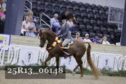 25R13_06148 thumbnail