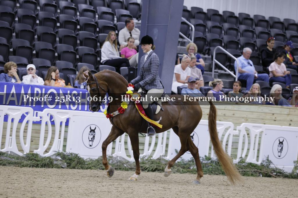 Proof Number 25R13_06149